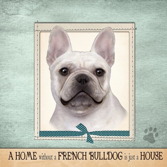 Pillow French bulldog white NEW - Picture 1 of 1